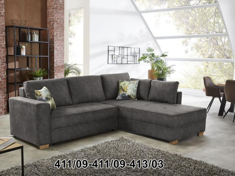 411/09-411/09-413/03